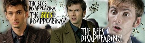 Why were the bees disappearing in Doctor Who?